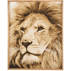 Slika LION