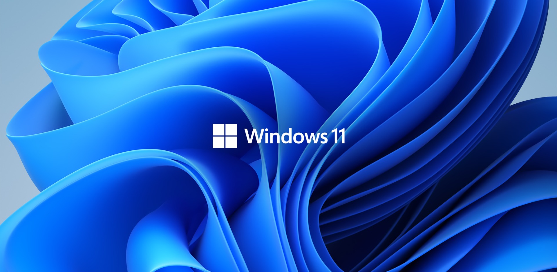 Windows 11 Header